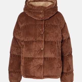 designer contraffatto Moncler Piumino Daos in velluto a coste marrone